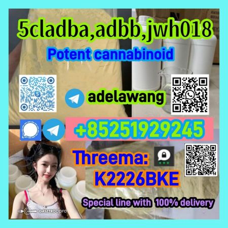 5CLADBA POWDER 5cladba with reliable fast +85251929245