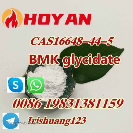 Cas16648-44-5, Methyl 2-phenylacetoacetatei Bmk at Best Price in WUHAN