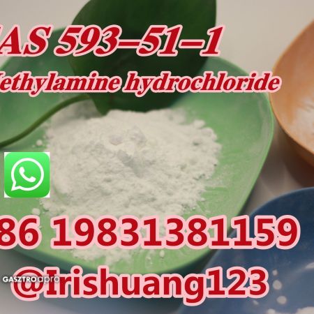 Hot Selling Methylamine hydrochloride Methylamine hcl CAS 593-51-1 