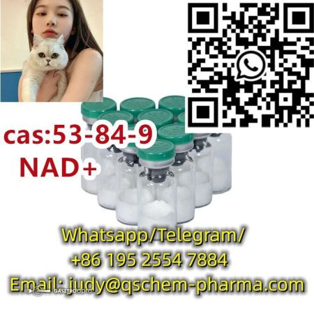 high quality Cas 53-84-9 NAD+