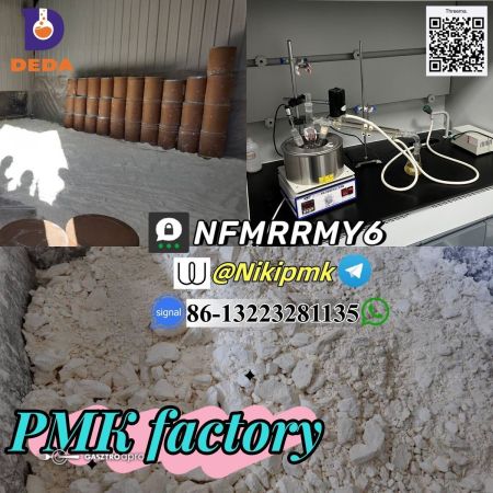 pmk powder 7days delivery to holland CAS 28578-16-7 