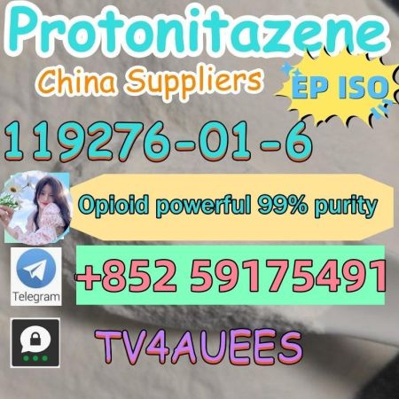 Protonitazene hydrochloride cas 119276–01–6 white powder now