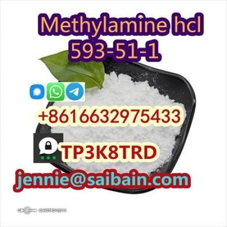 high-purity Methylamine hydrochloride 593-51-1 Methylamine hcl supplier 